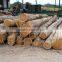 Merbau Wood