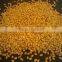 FENUGREEK SEEDS