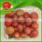 sweet cherry Tomato sell from farm