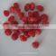 healthy delicious seedless preserved cherry