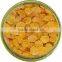 NEW YEAR GOLDEN RAISIN FOR EXPORT