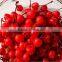 Red,Green,Black Cherry Canned Fruit