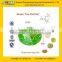 GMP Factory Supply High Quality Green Tea Extract EGCG 50%-98%