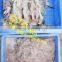 fish deboner/shrimp meat deboning machine
