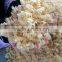 High Quality Macaroni product plant /Frying Italian pasta processing line