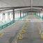 broiler chicken floor feeding system/feeder pan system