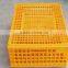 Plastic chicken crates for Poultry House