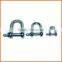 Factory Price Customized Galvanized Screw Pin d Shackle