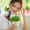 high quality colorful small mini decorative plastic flowers pot home and office decoration