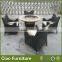 German new modern cheap indoor rattan Dining Furniture