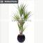 artificial bonsai bonana tree for sale factory direct indoor tropical plants