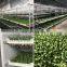 Automatic soya bean sprouts,mung bean sprout growing machine