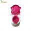 New style plastic Baby potty chair potty for Baby