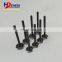 Diesel Engine Spare Parts V3307 Intake Inlet Valve IN Exhaust Outlet Valve EX