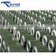 prime dx51d 30 mircons hot dipped galvanized iron steel sheet in coil