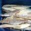 different kinds of sea frozen cod fillet