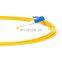 Patch Cord Jumper Optic Upc Optical 0.9mm St 12 Core Pigtail Fiber Sm Ftth Cable Sc Lc a Pc Interferometer Test Acceptable