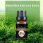 Chinese supplier pharmaceutical grade 100% pure natural Chuanxiong oil