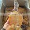 Frozen indian ocean dried squid for export