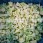 Sinocharm BRC A Approved Bulk IQF Vegetable Cauliflower Floret cut Frozen Cauliflower With Green Stem