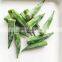 BRC Certified IQF Frozen Okra Whole