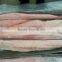 Frozen mahi-mahi fillets and Coryphaena hippurus