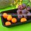 Supermarket Display With Absorbent Pad Plastic Container For Freezer