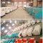 AC Three Phase Output Type diesel generator electric power by USA diesel engine(OEM Manufacturer)