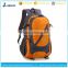 Factory directly sale Teenage outdoor pro Hiking Backpack Rucksack                        
                                                Quality Choice
