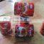 Double Concentrated Canned Tomato Paste in tin 28-30% Brix