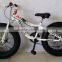 2015 20 inches 7 sp new style kids beach bike fat bike fat tyre bike snow bike ( FT-20003)