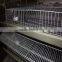 BAIYI H & A Type Layer Metal Quail Cage With Automatic Driking System For Sale