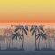 coconut palm printed bathers fabric bathing suit fabric for girls