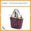 Sales Insulated picnic lunch cooler bag for girls                        
                                                                                Supplier's Choice