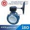 Made in china D341F4-10 Pneumatic Worm drive fluorine-butterfly electric actuator butterfly valve