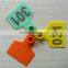 orange pig ear tag