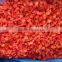 IQF Frozen red papper diced with good quality