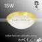 led motion sensor ceiling light