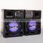 2.1 Professional Big Concert Karaoke Stage Speaker System With dj Mixer