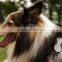 Long life battery waterproof mini pet gps tracker / tracking for dog with real-time APP Tracking