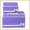 Sweet Bowknot non-woven collapsible storage box