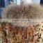 High quality leopard design rabbit fur coat with raccoon fur collar