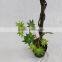 indoor artificial decoration green maple trees wood trunk