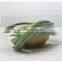 1600ml Disposable Clear Plastic Box for Vegetable