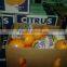 fresh organic navel orange