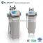 Lose Weight Hottest Cryolipolisis Lipo Cryo Fat Freezing Machine 5 Handles Cryolipolysis Body Sculpturing Machine 3.5