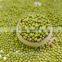 top quality Green Mung Beans sprouts/gernimation price