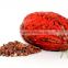 Reasonable Price Conventional Raw Cacao Nibs for All Age Group