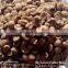 Natural and Bulk Packaging Raw Green Coffee Beans Popular Products