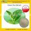 GMP certified factory supply Natural and Pure Green Tea Extract--- Gallate